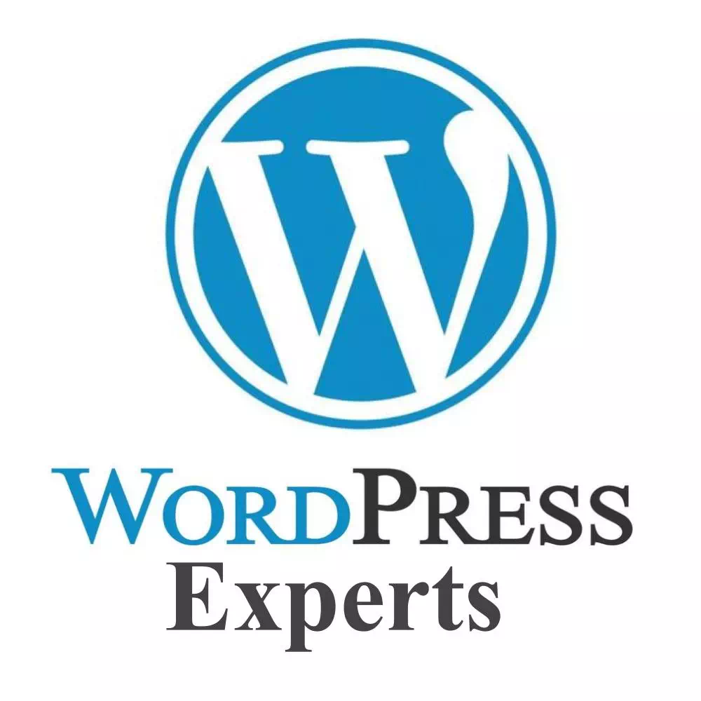 WordPress Support