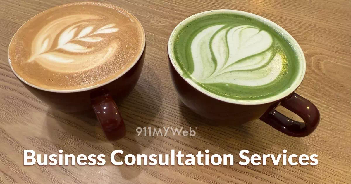 Web Consulting Services